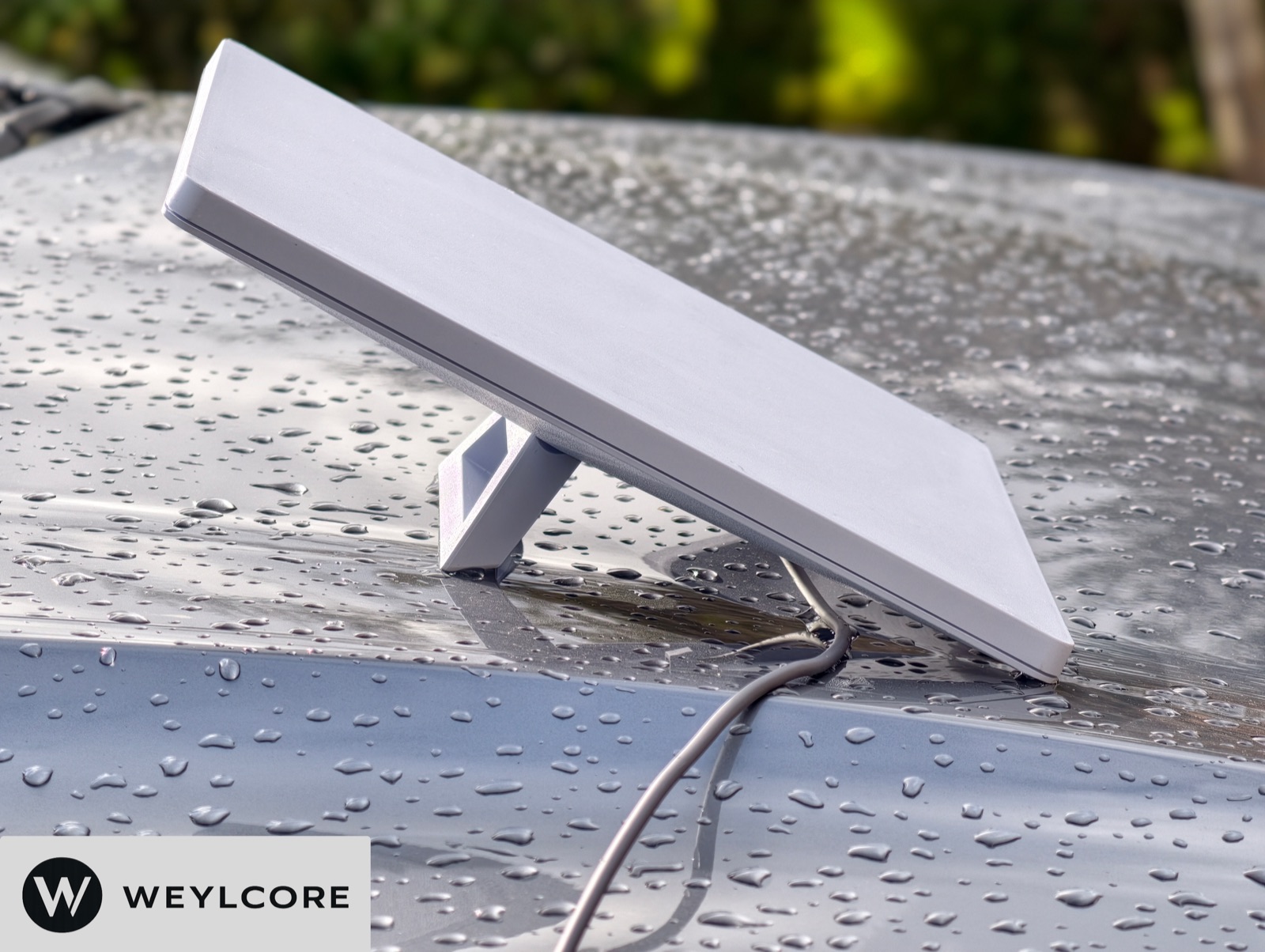 Starlink Mini sitting outdoors in the rain with the power cable visible at the dish side.